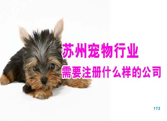 苏州宠物行业需要注册什么样的公司？